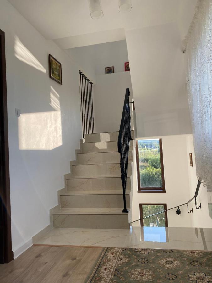 Pensiunea Ivoire Avrig Luaran gambar